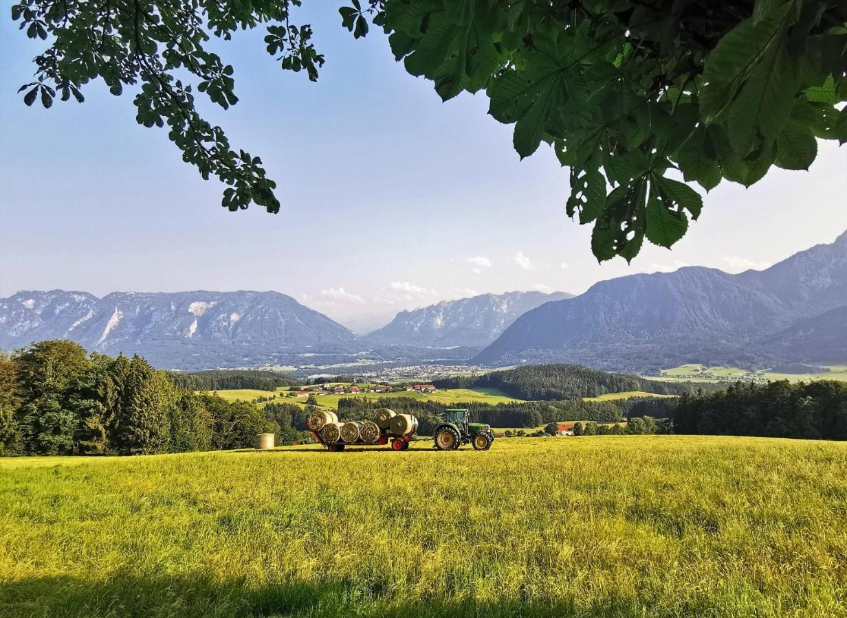 Villa Rosen - Ferienwohnungen Bad Reichenhall Exterior photo